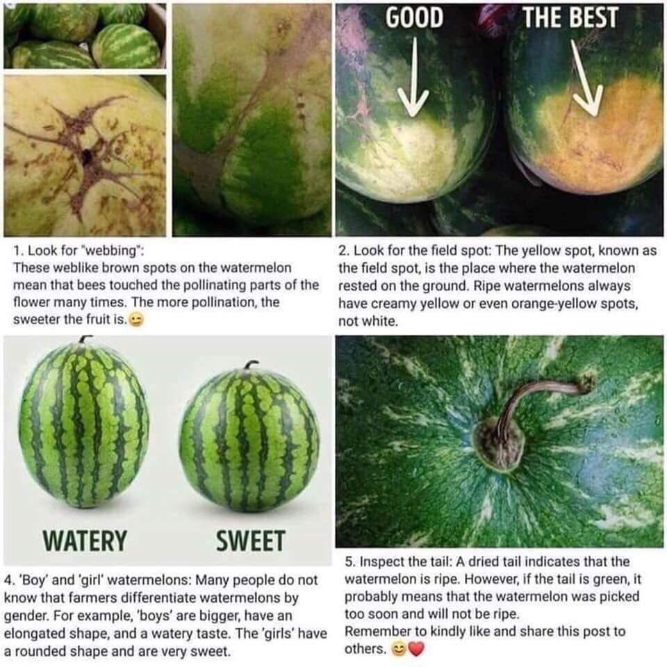 what is watermelon good for